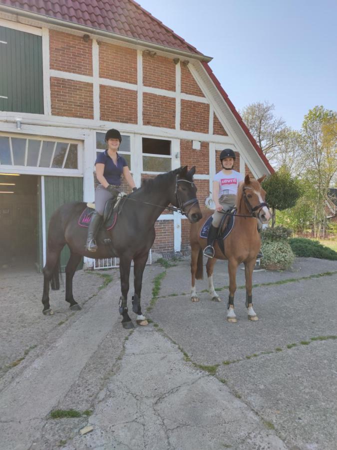 Urlaub Holthusen Appartement Brake  Buitenkant foto